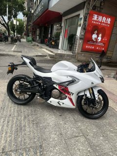 QJMOTOR SRK 250 - photo 8