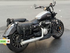 Benda Polestones 03 Gray 300 cc - ფოტო 8