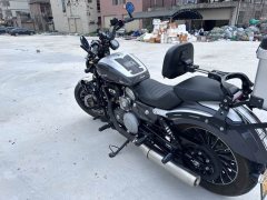 Benda Polestones 03 Gray 300 cc - ფოტო 4