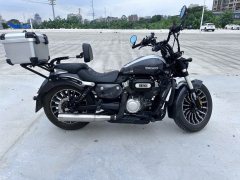 Benda Polestones 03 Gray 300 cc - ფოტო 6