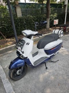 Weiduoliya Sixties 250Si - ფოტო 3