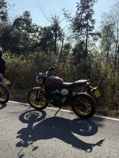 Triumph Scrambler 400 X - ფოტო 10