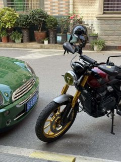 Triumph Scrambler 400 X - ფოტო 2
