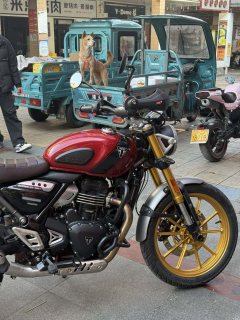 Triumph Scrambler 400 X - ფოტო 3