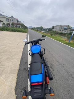 Harley-Davidson Street 750 - ფოტო 7
