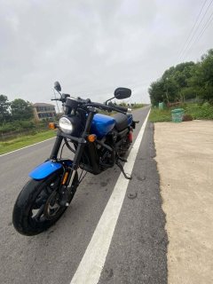 Harley-Davidson Street 750 - ფოტო 9