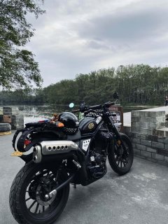 Honda CL300 - ფოტო 3