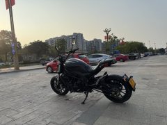 Benelli 502C 500 cc - photo 7