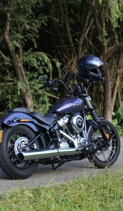 Harley-Davidson Street Bull Street Bob 1923 cc - photo 2