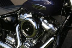 Harley-Davidson Street Bull Street Bob 1923 cc - photo 4