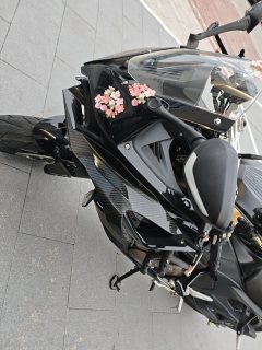 QJMOTOR Roewe i5 550 / Sai 550 *(Context-dependent, usually referring to the motorcycle "Sai 550" or Roewe car v - photo 3