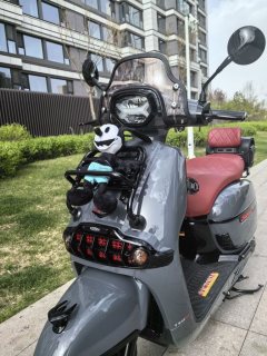 Weiduoliya Sixties 150Si - ფოტო 1