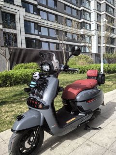Weiduoliya Sixties 150Si - ფოტო 7