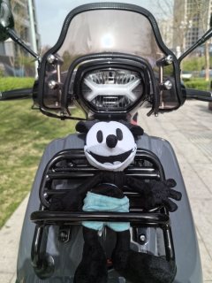 Weiduoliya Sixties 150Si - ფოტო 9