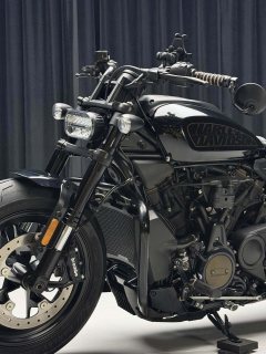 Harley-Davidson Sportster S 1250 cc - ფოტო 9