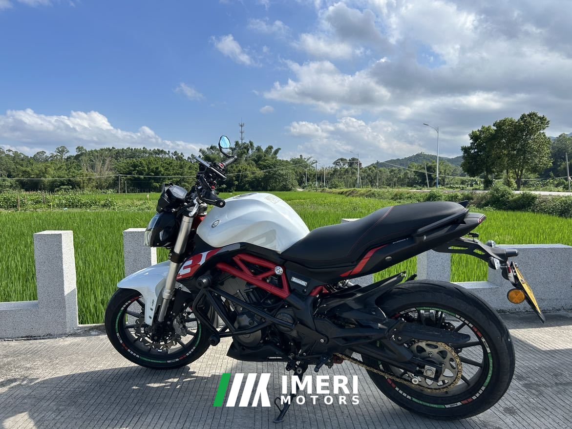 2019 Benelli TNT 300 / BN 302S