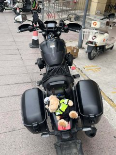 Haojue TR300 - фото 2
