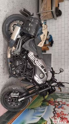 Benelli Leoncino 500 - ფოტო 1