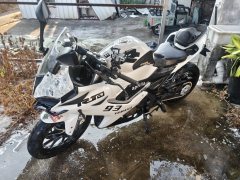 QJMOTOR SRK 250 - ფოტო 3