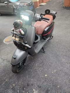 Weiduoliya Sixties 150Si - ფოტო 3