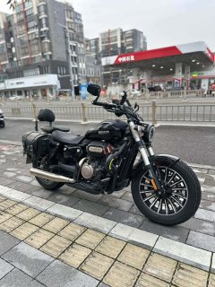 Benda Polestones 03 Gray 300 cc - photo 1