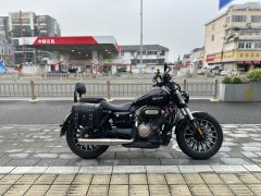 Benda Polestones 03 Gray 300 cc - photo 4