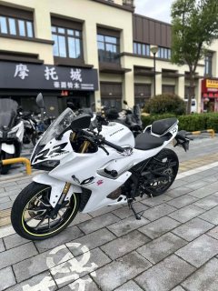 QJMOTOR SRK 250 - фото 3
