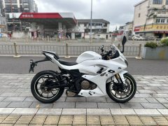 QJMOTOR SRK 250 - фото 4
