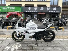 QJMOTOR SRK 250 - фото 6