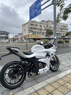 QJMOTOR SRK 250 - фото 7