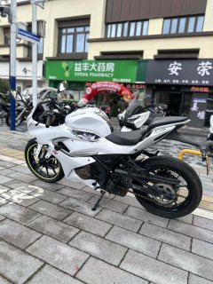 QJMOTOR SRK 250 - фото 9