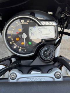 Triumph Scrambler 400 X - ფოტო 9