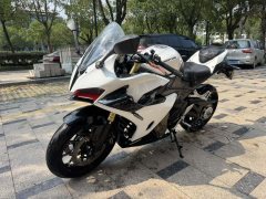 QJMOTOR Sai 450 - ფოტო 3