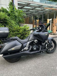 Paifang Starship 3 300 cc - фото 3