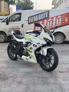 QJMOTOR SRK 250 - фото 1