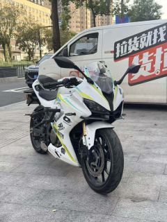 QJMOTOR SRK 250 - фото 2