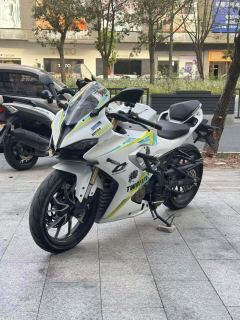 QJMOTOR SRK 250 - фото 3