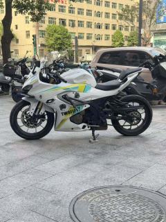 QJMOTOR SRK 250 - фото 4