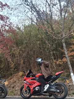 Voge RR660S - ფოტო 3