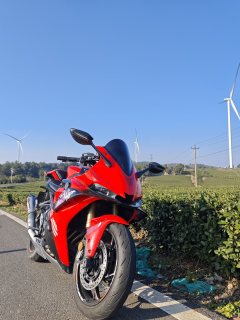 Voge RR660S - ფოტო 4