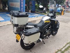 Cyclone RX250 - ფოტო 1