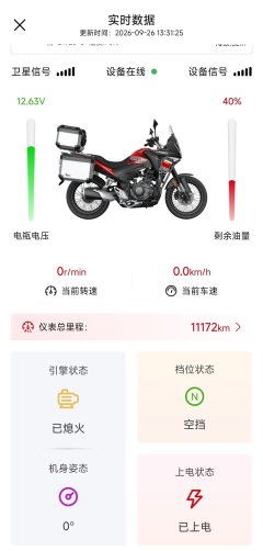 Cyclone RX250 - ფოტო 8