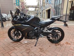 Kayo 250RR Thornbird - ფოტო 1