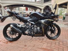 Kayo 250RR Thornbird - ფოტო 2
