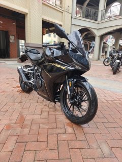 Kayo 250RR Thornbird - ფოტო 3
