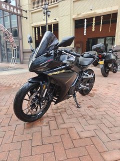 Kayo 250RR Thornbird - ფოტო 4