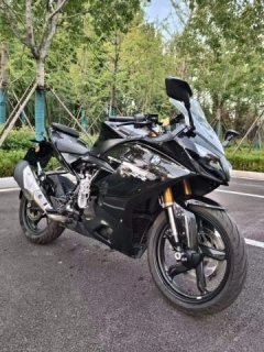 BMW G 310 RR - photo 1