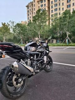 BMW G 310 RR - photo 3