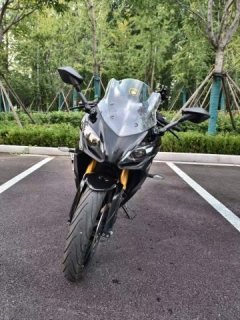 BMW G 310 RR - photo 9