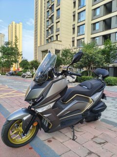 Tairong 250 - фото 2